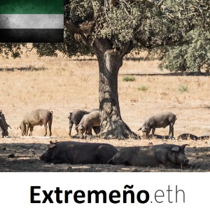 Dominio ENS extremeño eth