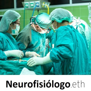 Dominio ENS para neurofisiologos