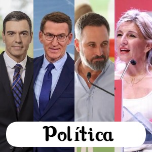 Dominios ENS de política