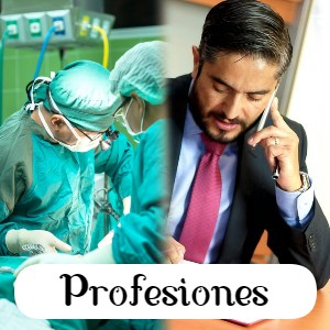 Dominios ENS de profesiones para profesionales
