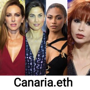 Dominios ENS para Canarias y personas y empresas de las islas canarias