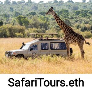Safaritours.eth