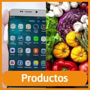 dominios ENS de productos en español