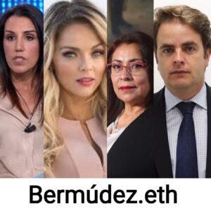 dominios ens bermúdez